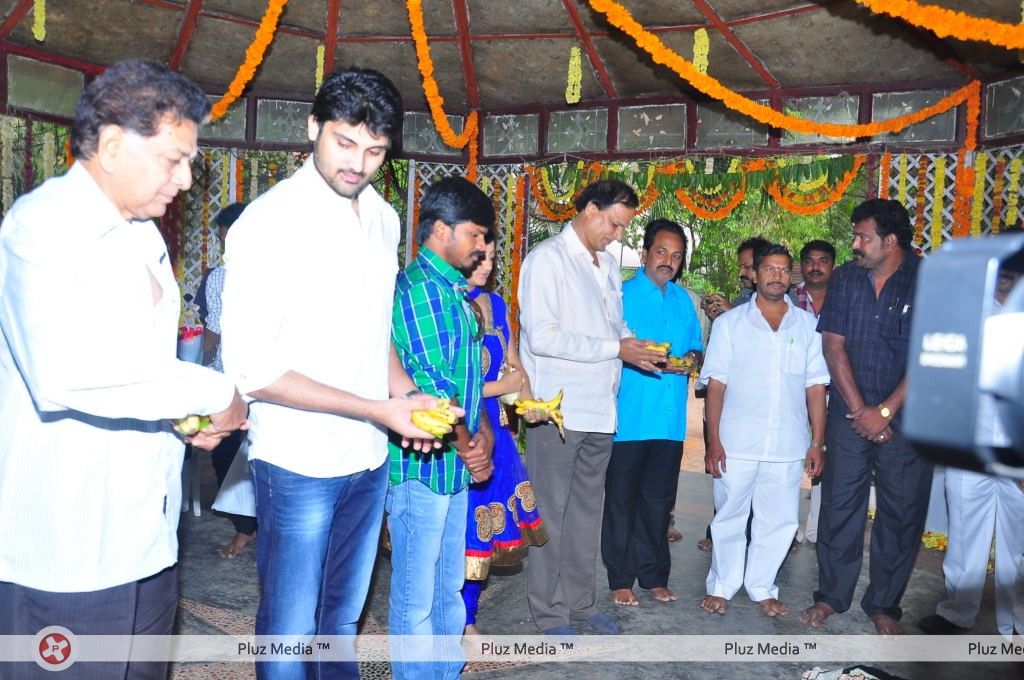 Amma Nanna Creations New Movie opening - Pictures | Picture 131874